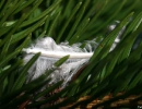 detail1