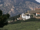 mg_4620