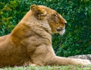 doue_mg_5474