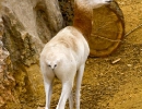 doue_mg_5476
