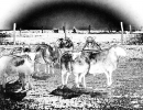 image10-2-2