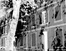 mg_6185a