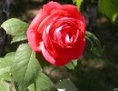 dscn2224