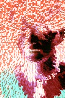 Extrusion copie