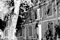 _MG_6185a